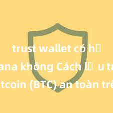 trust wallet có hỗ trợ solana không Cách lưu trữ Bitcoin (BTC) an toàn trên Trust Wallet tại Việt Nam