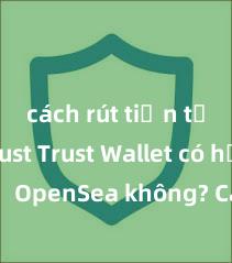 cách rút tiền từ ví trust Trust Wallet có hỗ trợ OpenSea không? Cách giao dịch NFT